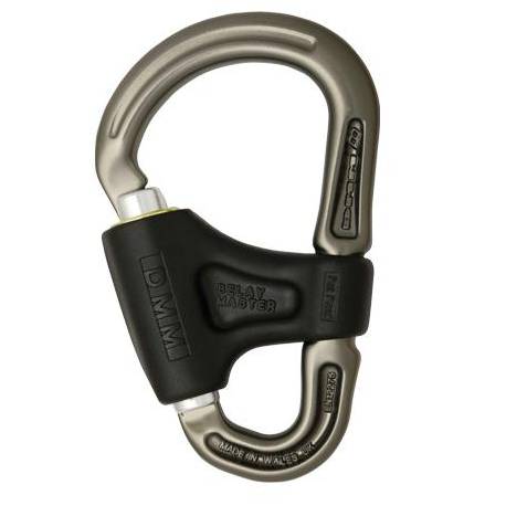 Moschettone DMM BELAY MASTER 2