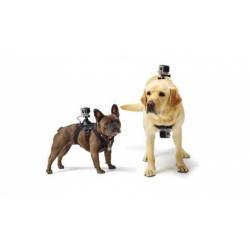 Imbragatura per cani GoPro FETCH