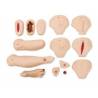 Set cure di lesioni per manichino Laerdal NURSING ANNE