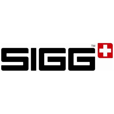 SIGG 2015 - Mercoledisanto Rescue & Adventure